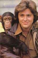 Watch BJ and the Bear 2KMovies